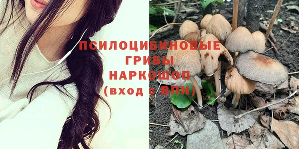 эйфоретик Баксан