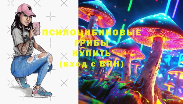 эйфоретик Баксан