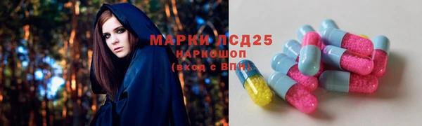 эйфоретик Баксан