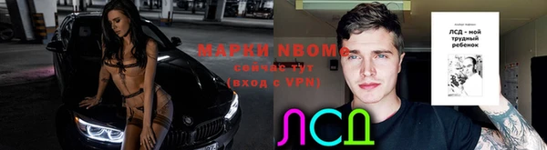 эйфоретик Баксан